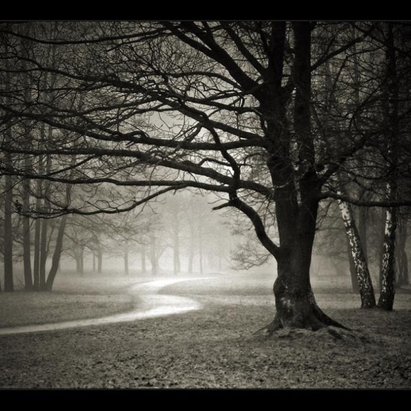 Meet your Posher, Rachel - Picture 1 of 1